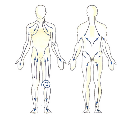 STEP 1: DETOX / BODY BRUSH